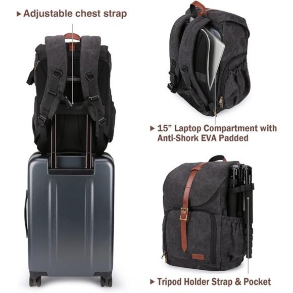 timbuk2 backpack spire Jet Black - COLOR:Fig Two front pockets will Convertible Backpack Purse Leather Fanny Pack Baseball